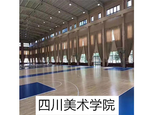 四川美術(shù)學院